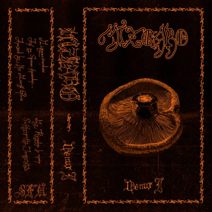 Demo I cover