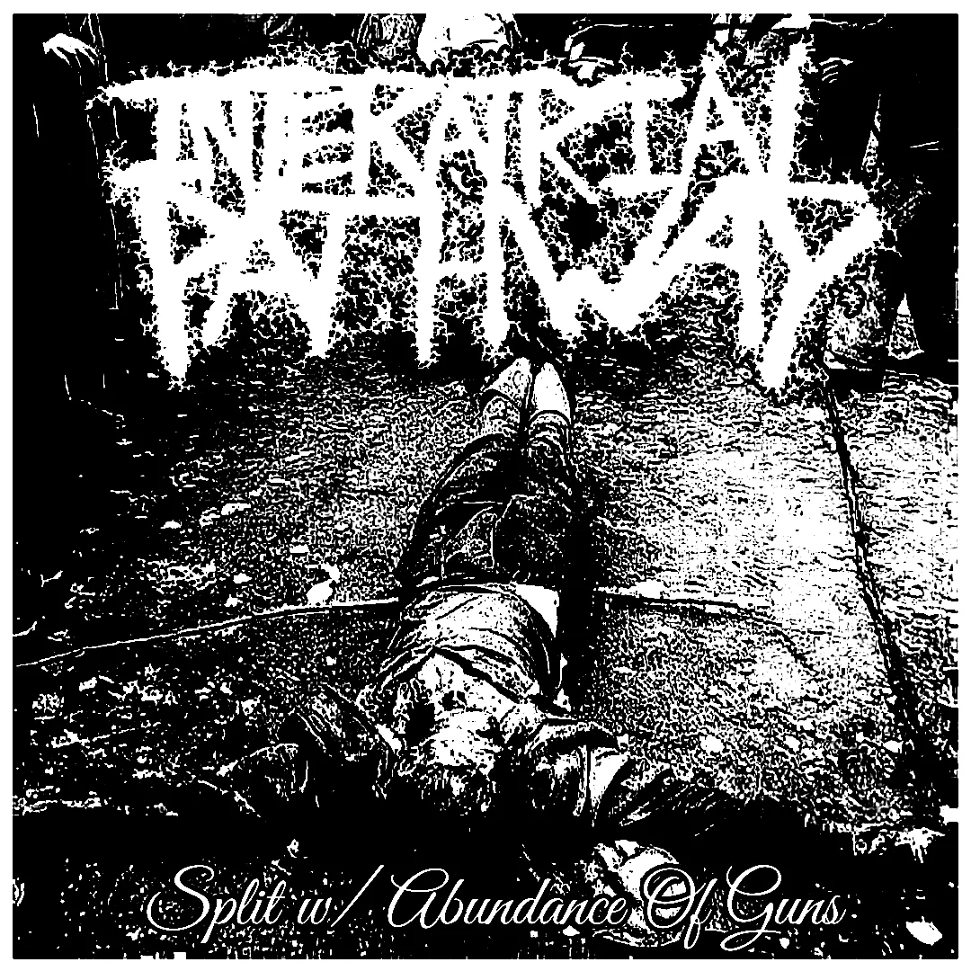 Split w/ Abundance of Guns cover