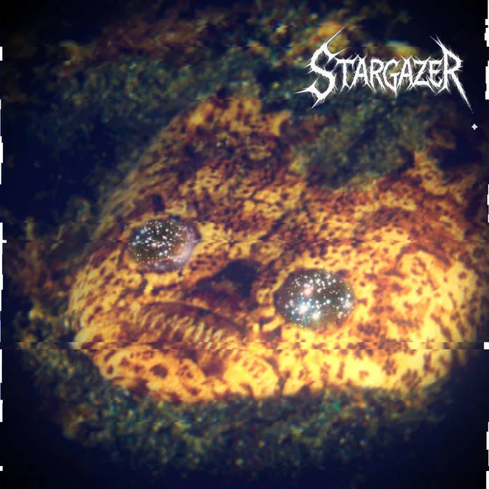 Stargazer cover