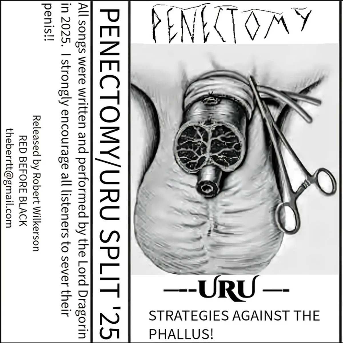 Strategies Against the Phallus! cover