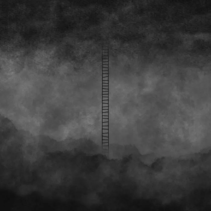 The Ladder cover