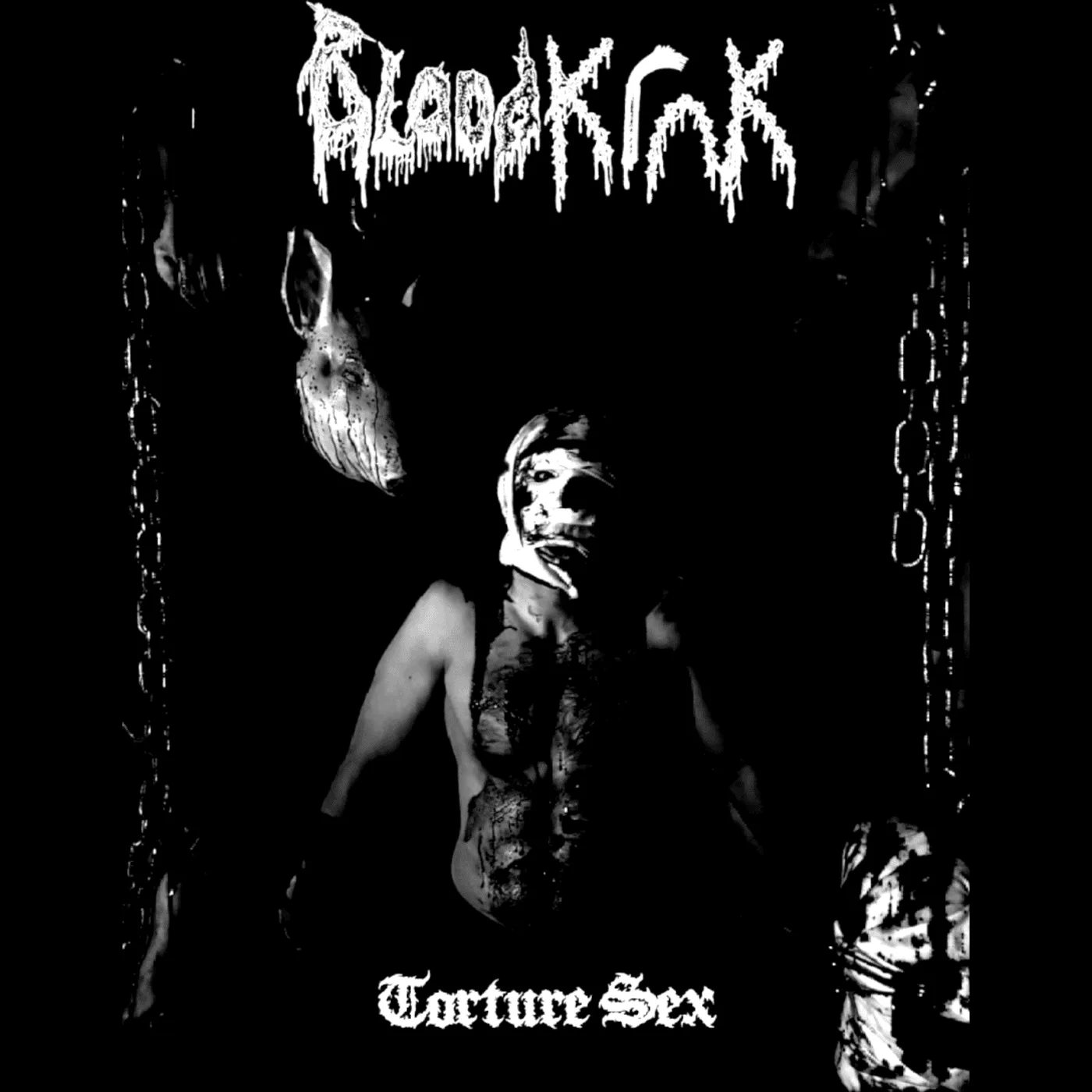 Torture Sex cover