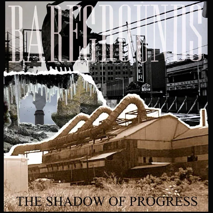 The Shadow of Progress cover