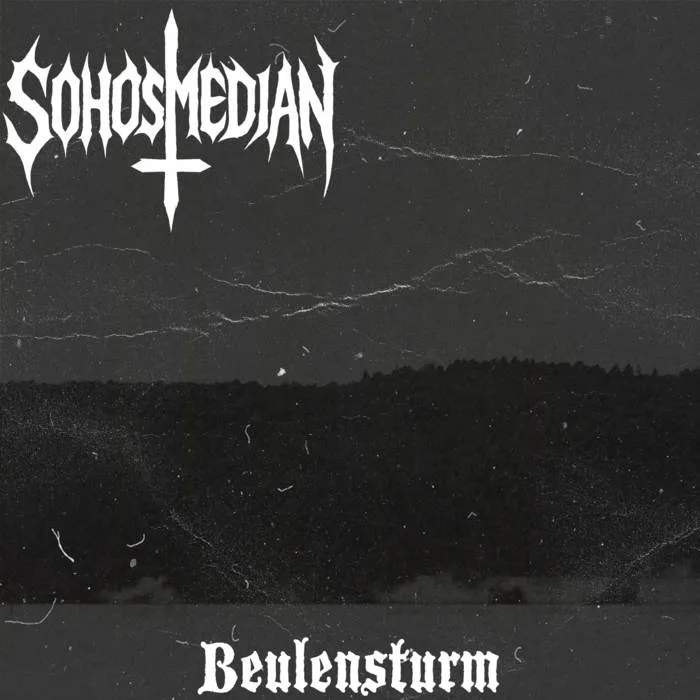 Beulensturm cover