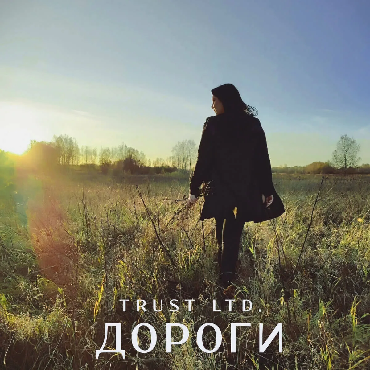 Дороги cover