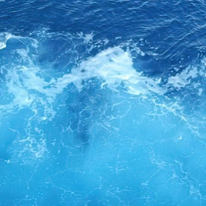 Waters cover