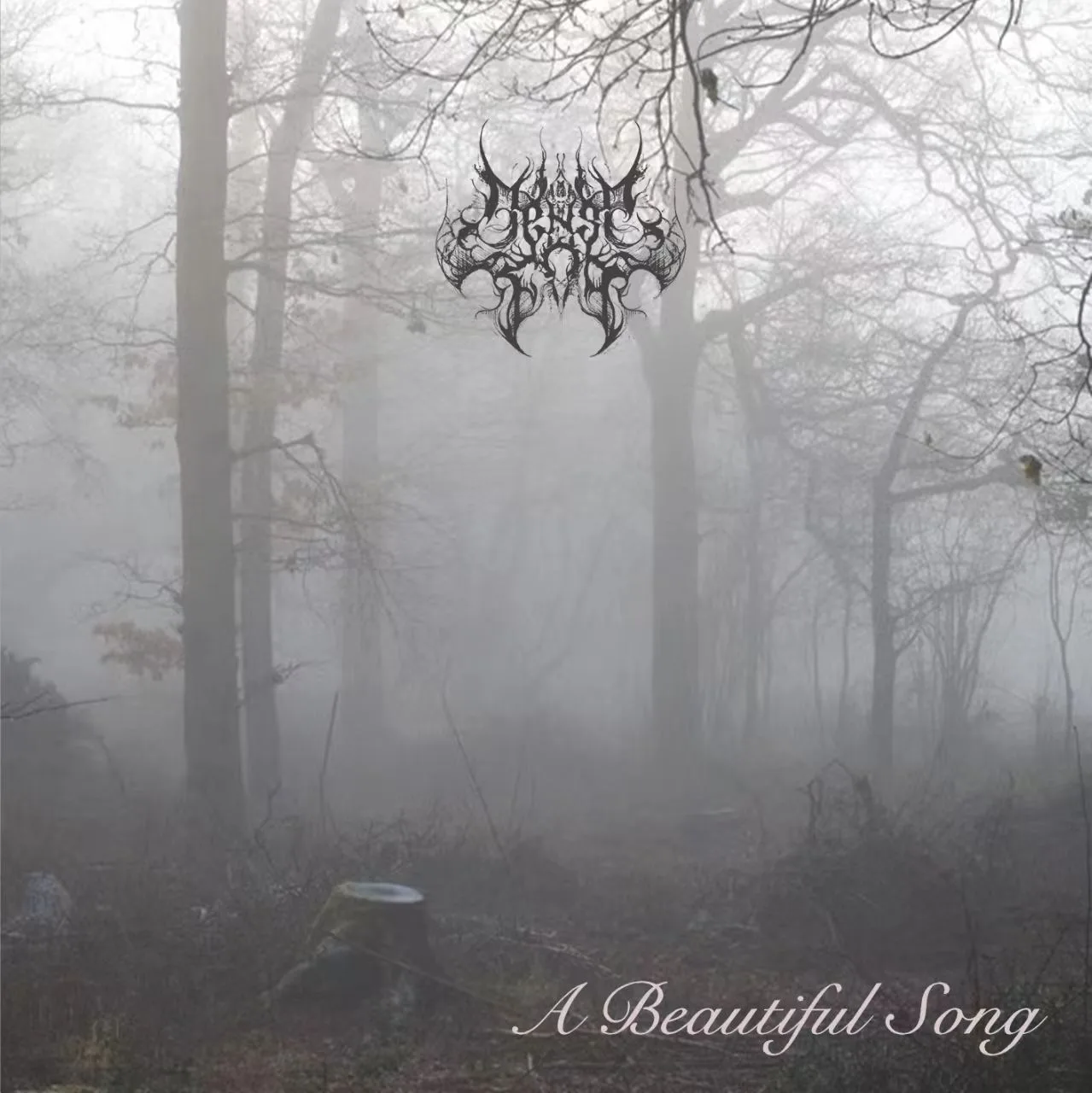 A Beautiful Song (promo) cover