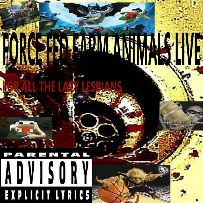 FFFA Live cover