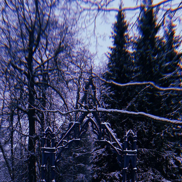 Tempête De Neige cover