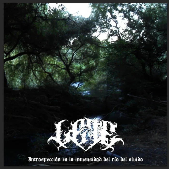 Introspección en la inmensidad del río del olvido cover