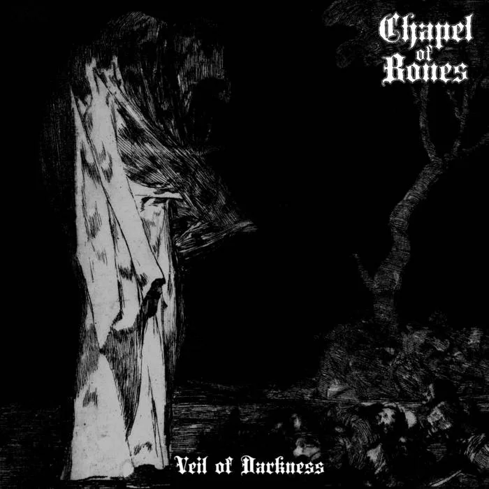 Veil of Darkness cover