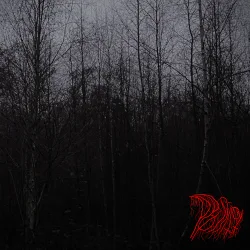 Du bist alles für mich cover