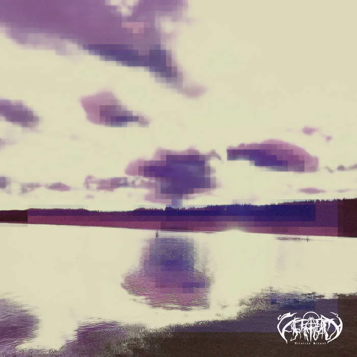 Ritual Sessions, vol. V - In the Stages of Ecstatic Life cover