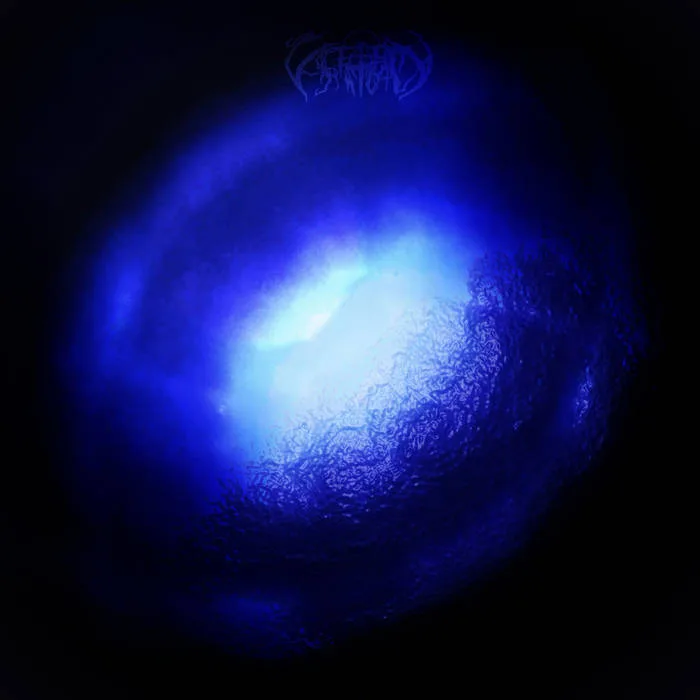 Ritual Sessions, vol. VIII: Transcendental Textures 1 cover