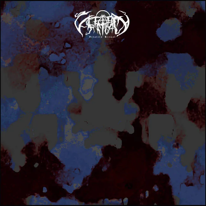 Ritual Sessions, vol. VI - The Puzzle of Ekstasis cover