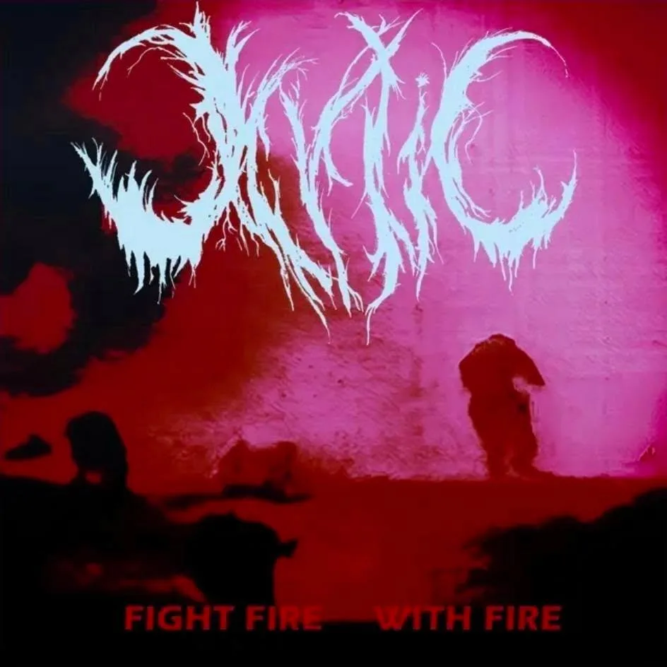 Fight Fire with Fire cover