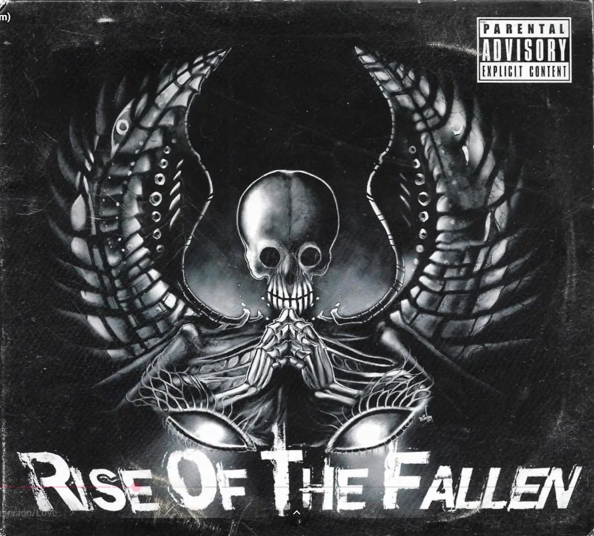 Rise of the Fallen cover