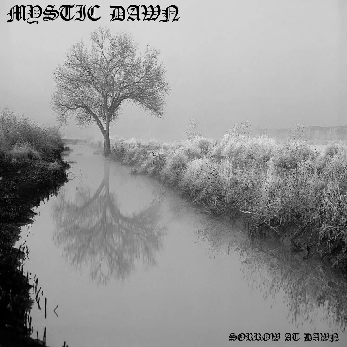 Sorrow at Dawn cover