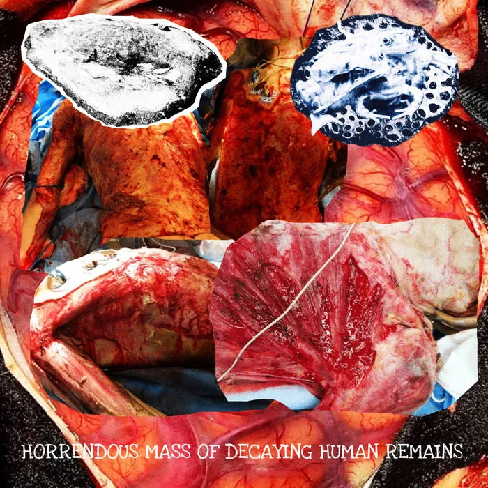 Horrendous Mass of Decaying Human Remains cover