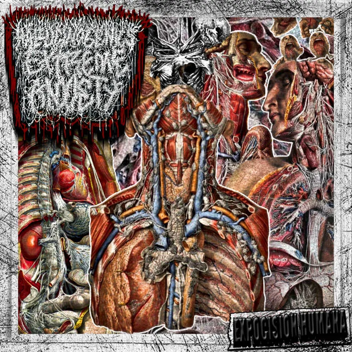 Expocision humana cover