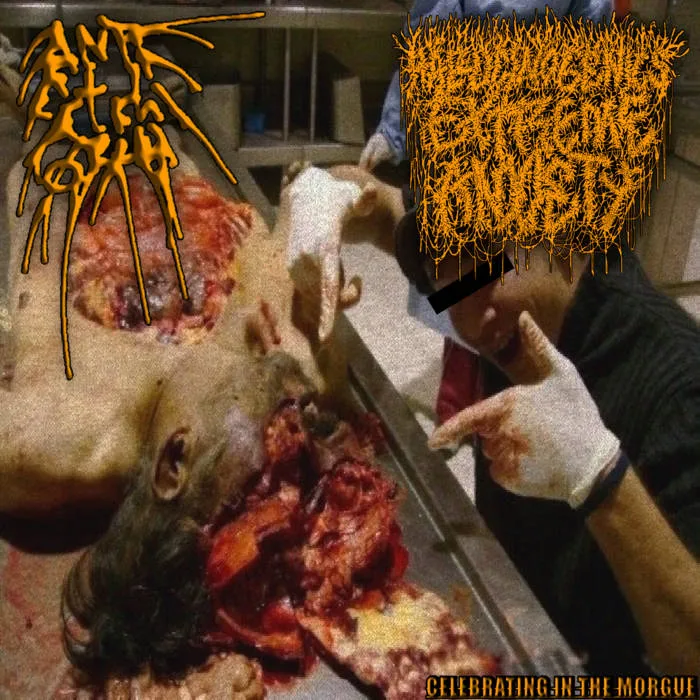 Celebrating In the Morgue cover