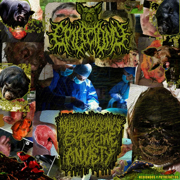 Epilectomy / Hallucinogenics Extreme Anxiety cover