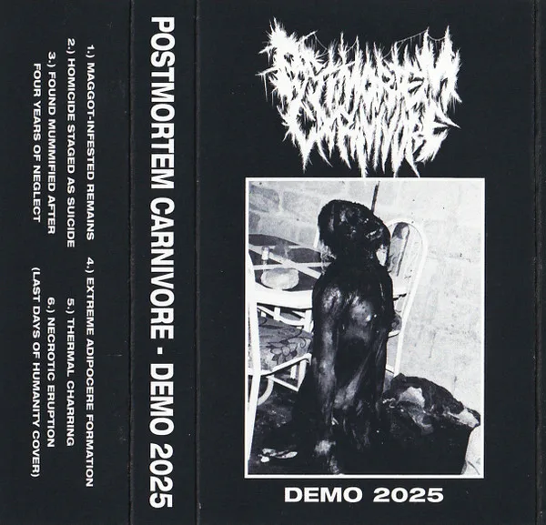 Demo 2025 cover