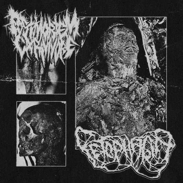 Postmortem Carnivore / Fetophagia cover