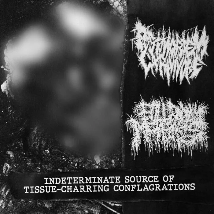 Indeterminate Source of Tissue-Charring Conflagrations cover