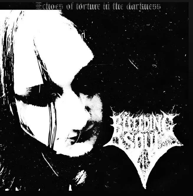 Echoes of Torture in the Darkness cover