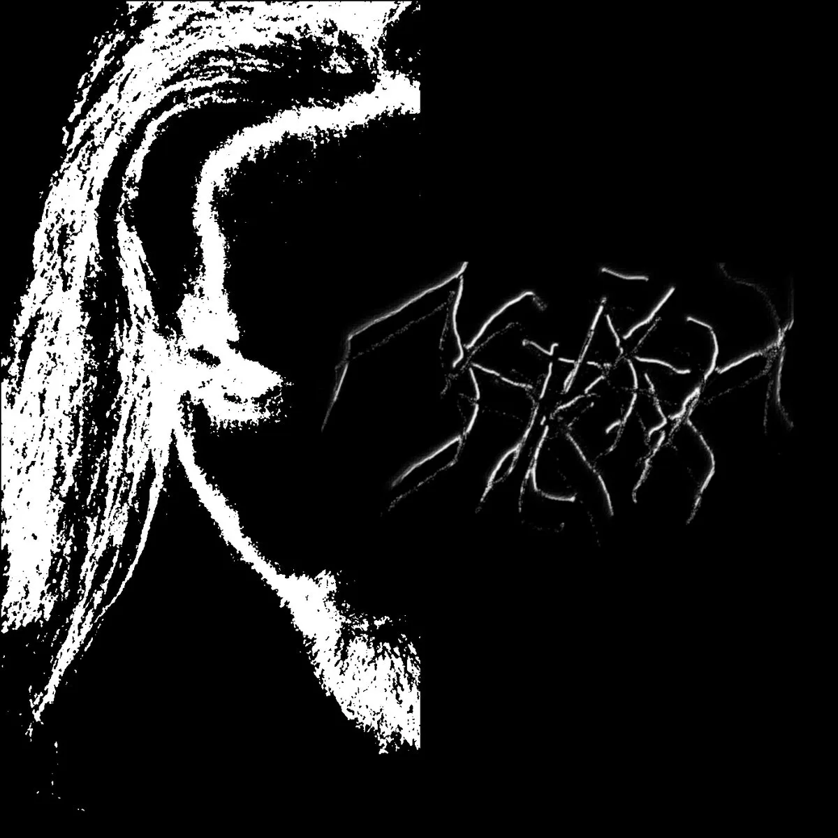 Tempête karmique cover