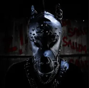 Salida cover