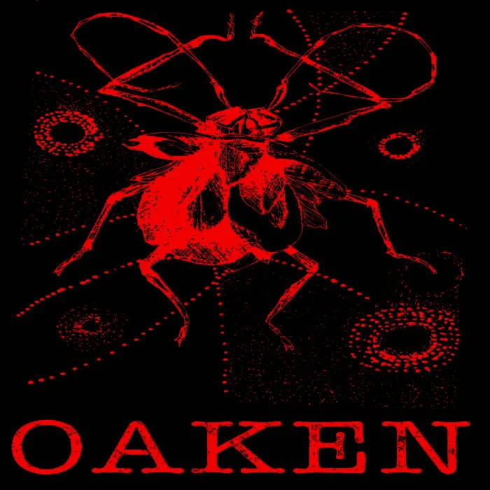 Instrumental Live Session 2014 cover