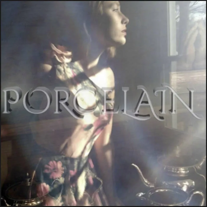 Porcelain cover