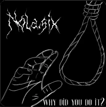 Why Did You Do It? cover