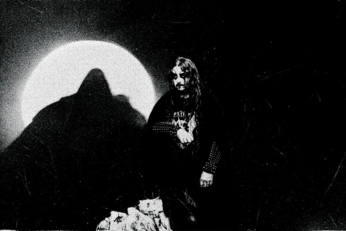 Ancient Moss in a Veil of Fog cover