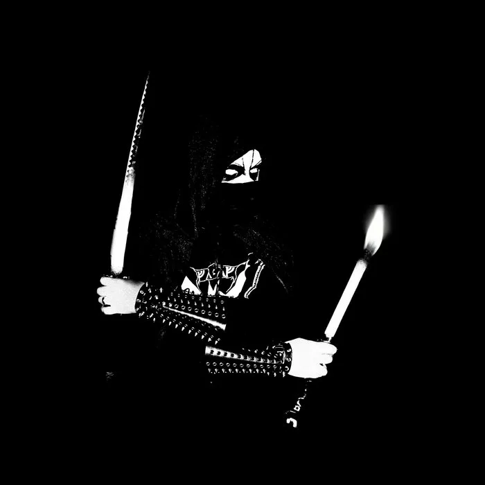 Echoes of the Arcane Peaks cover