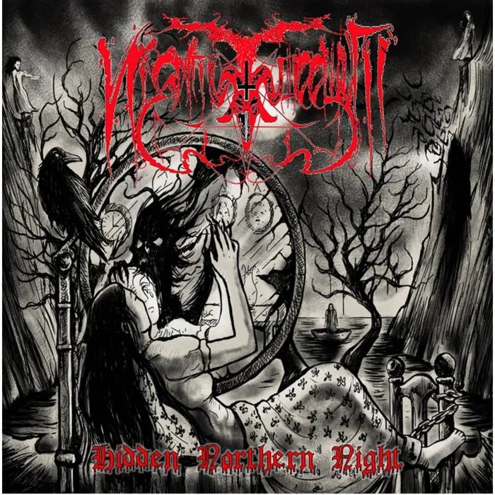 Hidden Northern Night cover