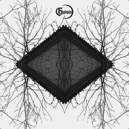 Desolate cover