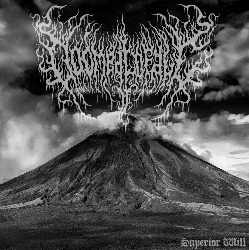 Superior Will cover