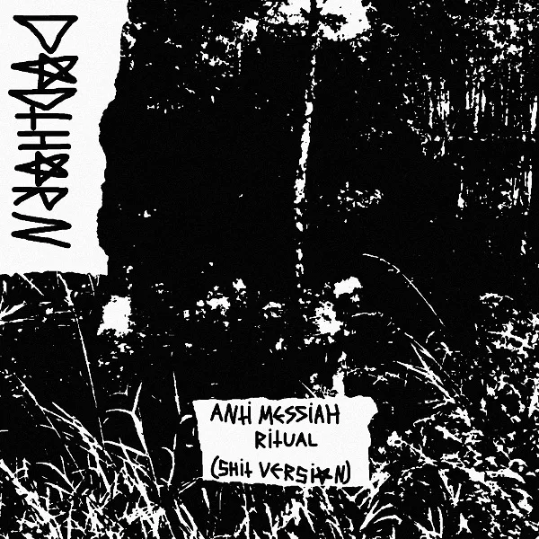 Anti-Messiah Ritual (Shit Version) cover