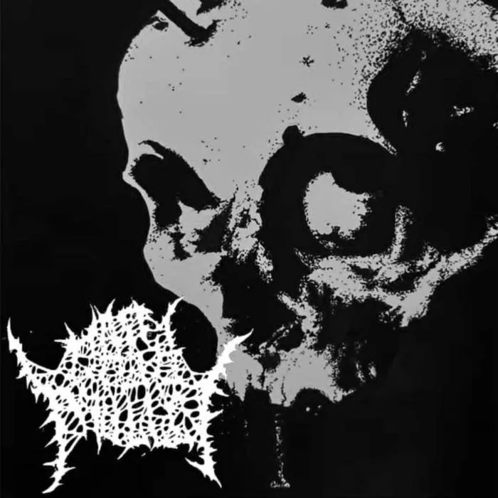 Night of the 28th cover