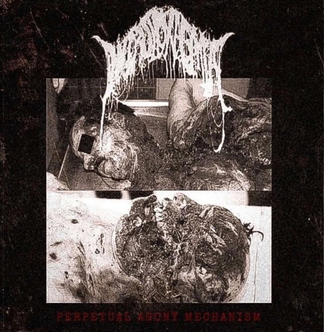 Perpetual Agony Mechanism cover