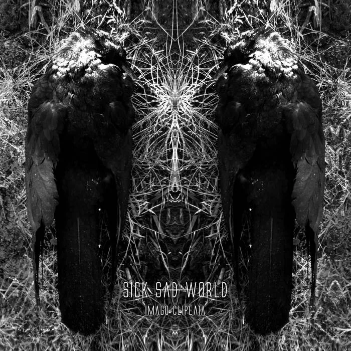 Imago Clipeata cover