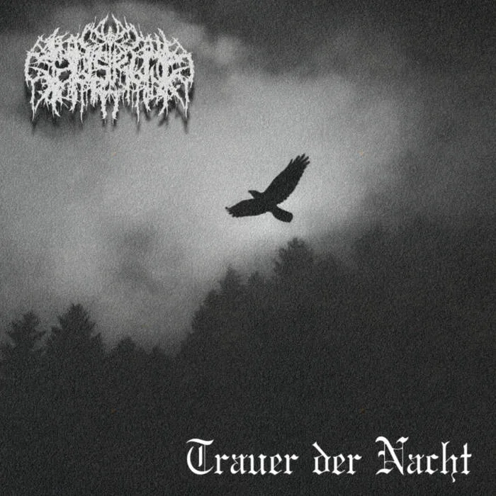 Trauer der Nacht cover