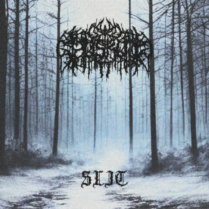 Slit cover