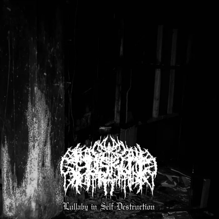 Lullaby in Self Destruction cover