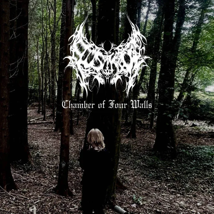 Chamber of Four Walls cover