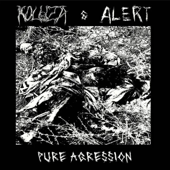 Pure Aggression cover