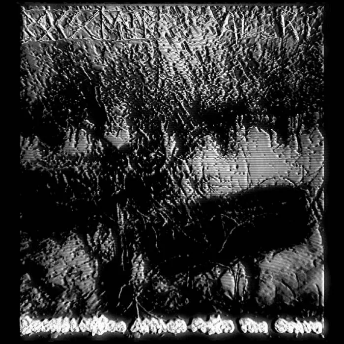 Bestial Noise Attack from the Grave cover
